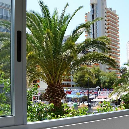 Margarita Apartment เบนิดอร์ม ภายนอก รูปภาพ
